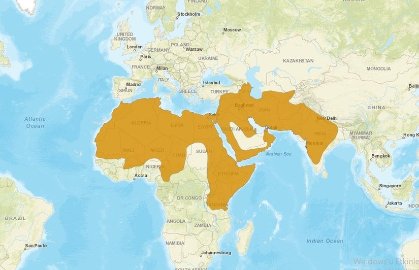 Çizgili sırtlan yayılış haritası.