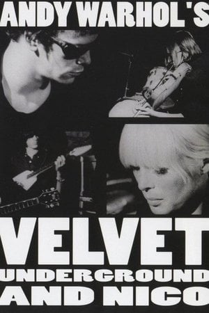 Seslerin Senfonisi: The Velvet Underground ve Nico
