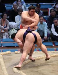 草野は新十両で無傷１０連勝！大の里、尊富士ら抜く新記録達成/デイリースポーツ online