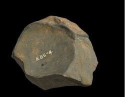 Araştırmalar, Kümülatif Kültürün Kökenlerinin İnsansıların Evrimindeki Rolünü Ortaya Koyuyor!