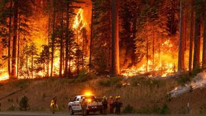 Firefighters Health And Community Resilience Amid Park Fire