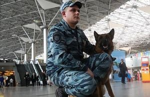 Russian Airports Struggle Amid Ongoing Aviation Collapse