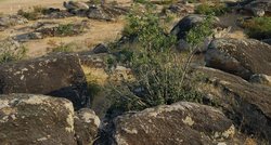 Bu tip büyük ve yüzeye yakın pek çok kayanın oluşma sebebi nedir?