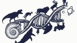 Evrim Etimolojik Olarak Yanlış