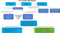 Assessing the influence of plasma metabolites on chronic skin ulcer risk: a two-sample Mendelian randomization study - Scientific Reports