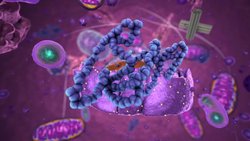 DeepMind bilim insanları, her proteinin yapısını tahmin eden AI için 3 milyon dolarlık 'Atılım Ödülü' kazandı.