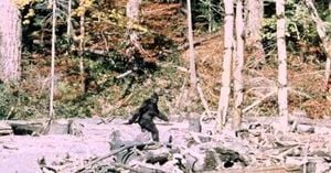 Oakland Brothers Win Hearts With Bigfoot Podcast