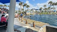 Gulfarium Marine Adventure Park turns 70