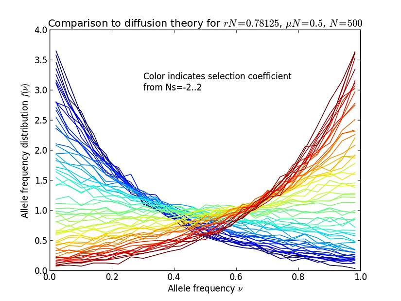 Mutasyon-Seçilim Dengesi'nin FFPopSim isimli yazılım ile modellenmesi.