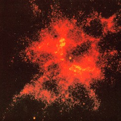 NGC 2440 Nucleus: The Hottest Star?