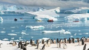 Christmas Celebrations Amidst Penguins And Ice