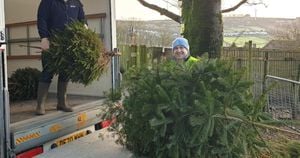 Sue Ryder Launches Christmas Donation And Tree Recycling Initiatives