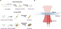 Real-time label-free imaging of living crystallization-driven self-assembly - Nature Communications