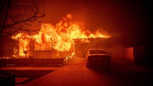 LA Wildfires Cause Devastation For Residents And Celebrities