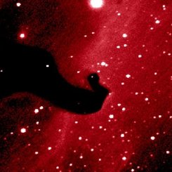 Vic Winter and Tom Bisque (