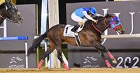 【UAEダービー】日本勢が4連覇！　アドマイヤデイトナが大激戦を制してV　ケンタッキーダービー挑戦へ