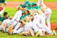Taiwan win first Little League WS title in 29 years - Taipei Times