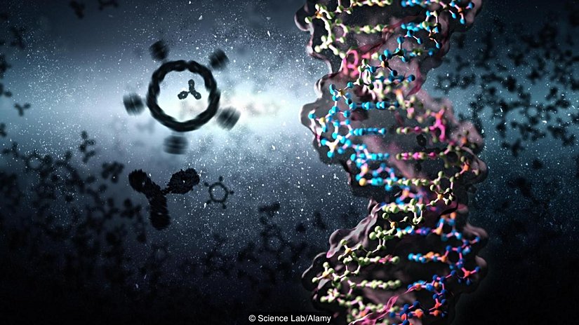 Yaşam, geniş bir kimyasal karışımına ihtiyaç duyar.