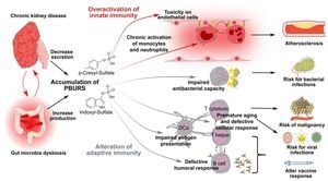 Surge In Vaccine-Associated Kidney Injuries Raises Alarm