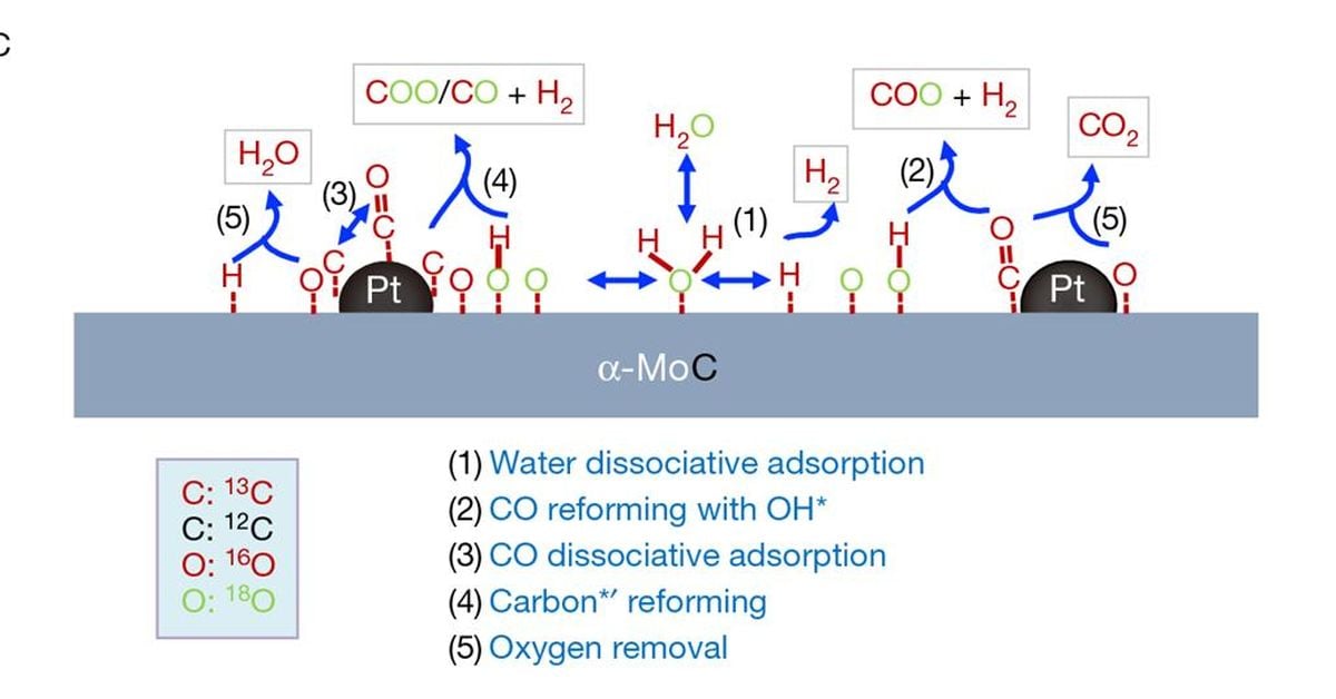 Optimizing Active Sites on Pt/α-MoC1-x Catalysts for Enhanced Water-Gas Shift Reaction Efficiency