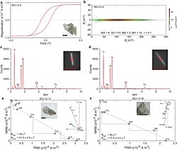 Zayıf Manyetik Alan Dünya'daki Yaşamın Çeşitlenmesini Desteklemiş Olabilir!