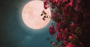 Flower Moon Set To Illuminate The Night Sky