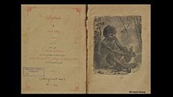 Osmanlı'da Evrim: Ali Sedad Bey, Osmanlı'da Evrimi Nasıl Anlattı, Ne Yönlerden Eleştirdi?