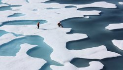 Kuzey Kutbu'ndaki Buz Kaybı Geçici Olarak Yavaşlıyor!