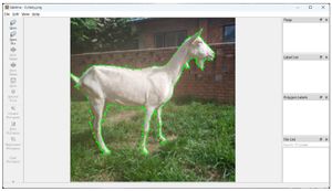 New Machine Vision Algorithm Revolutionizes Goat Herd Tracking