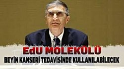 Prof. Dr. Aziz Sancar'dan EdU Molekülünü Beyin Kanseri Tedavisinde Kullanan Yöntem