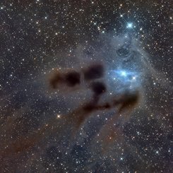 Reflections on VdB 31