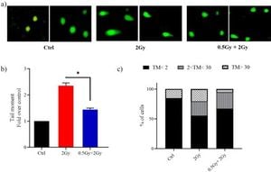 0.5 Gy Radiation Doses Show Remarkable Protective Effects