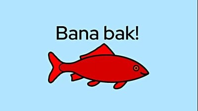 Kırmızı Sazan Safsatası (Tahrik Safsatası): O Değil de Bu Yazı Çok Güzel Değil mi?