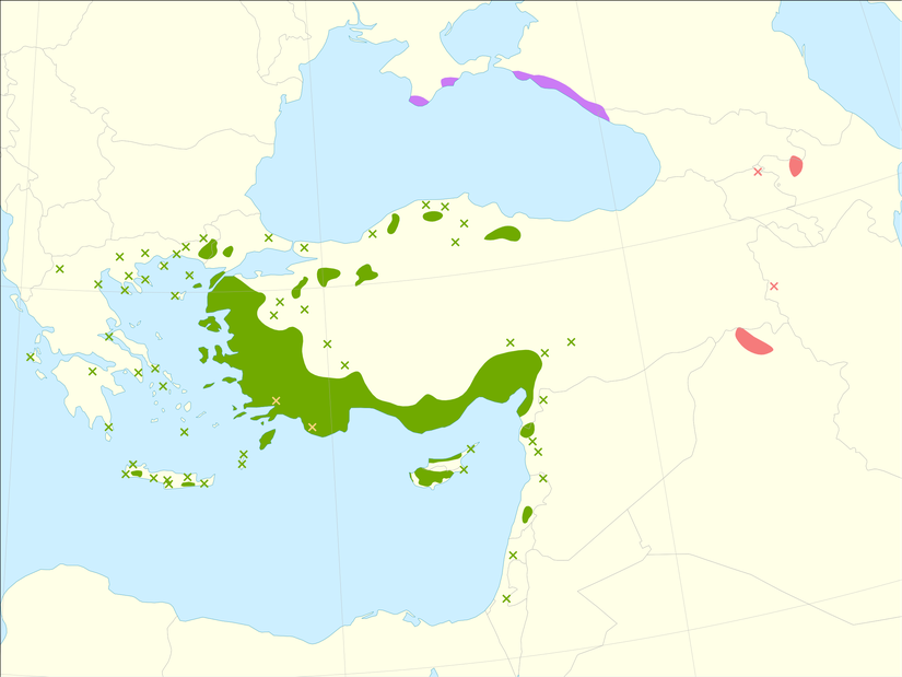 Kızılçamın yetiştiği bölgeler