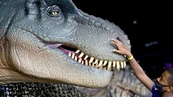Çalışma iddialarına göre T.rex daha önce düşünülenden %70 daha büyüktü ve 33.000 libre ağırlığa kadar çıkabiliyordu.