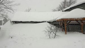 Avalon Peninsula Hit By Major Blizzard Conditions