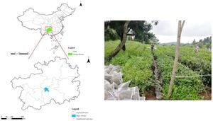 Excess Nitrogen Is Harming Soil Microbial Diversity And Function