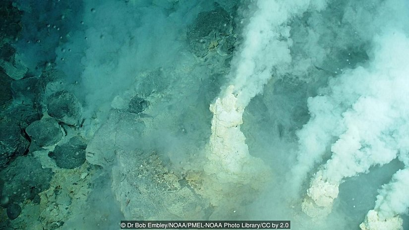 Pasifik Okyanusu'nun dibindeki volkanik bacalar...