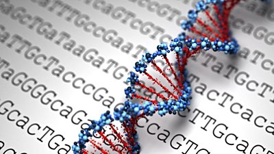 Popülasyon Genomiği Nedir? Toplumların Genetiği Bize Neler Öğretir?
