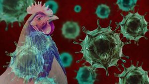 Antarctic Avian Flu Outbreak Linked To Climate Change