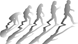 X Kuşağı'nın Evrime Yönelik Değişen Fikirleri Bilim Okuryazarlığının Önemini Gösteriyor!