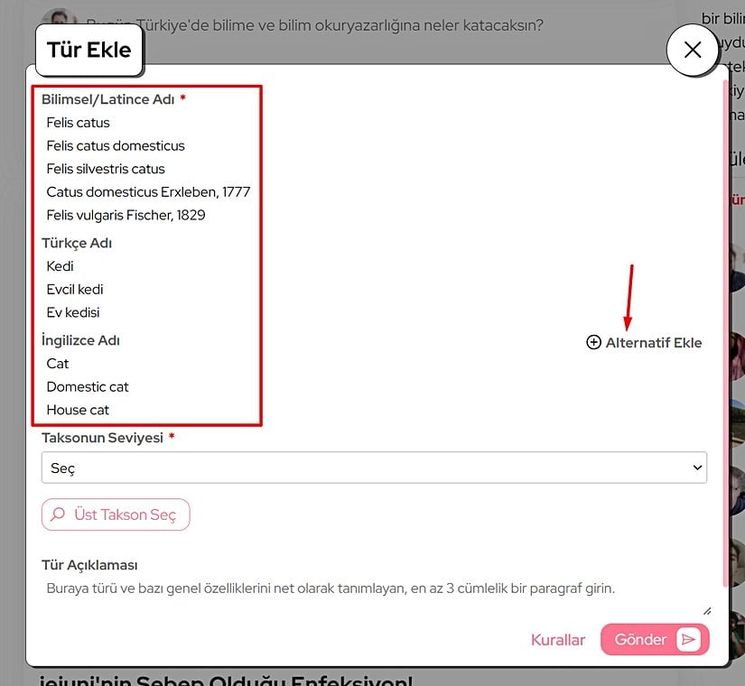 Tür ismini eklerken, her bir kısımda ayrıca çıkan "Alternatif Ekle" tuşunu kullanarak olası tüm alternatiflerini eklediğinizden emin olunuz.