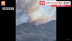 Forest Fire Erupts In Okayama City Prompting Evacuations