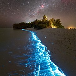 Turkuaz Bir Harikalar Diyarı'nın Üzerindeki Samanyolu