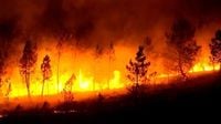 Video. Worst wildfire season in decades burns over 340,000 hectares in Spain