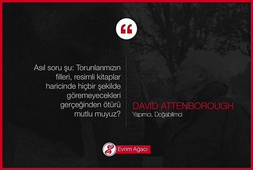 Doğa sevgisi ve duyarlılığı ile bilinen David Attenborough, sık sık insanları düşündürecek sözler söylüyor.