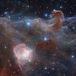 Horsehead: A Wider View