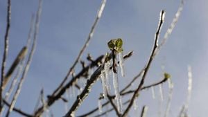 Germany Prepares For Ice Saints And Potential Frost