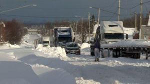 Severe Snowstorm Forces School Closures Across Peel Region