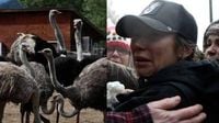 B.C. ostrich cull: Canada ‘waged war’ by gunning down birds in middle of night, family says | Watch News Videos Online